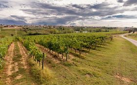 Agriturismo Tenute Poggio Di Bobi Lamporecchio
